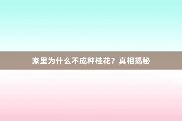 家里为什么不成种桂花？真相揭秘