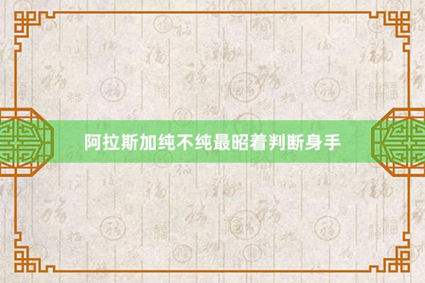 阿拉斯加纯不纯最昭着判断身手
