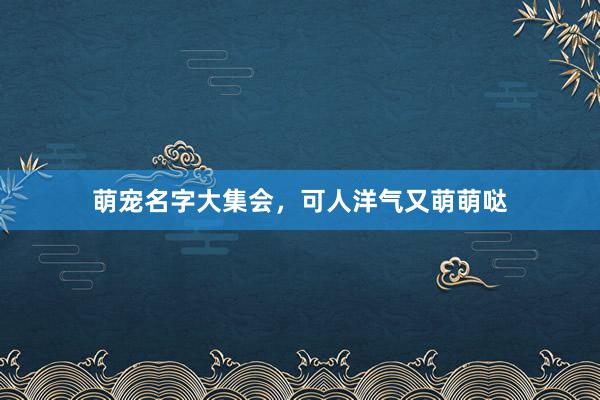 萌宠名字大集会，可人洋气又萌萌哒